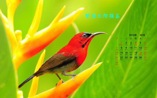 484615 (a): :1920x1200